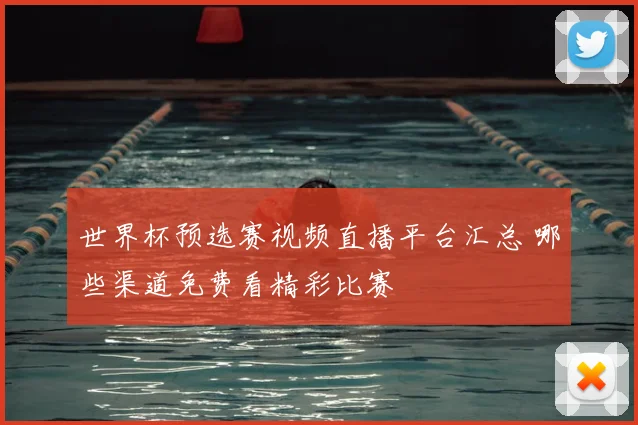 世界杯预选赛视频直播平台汇总 哪些渠道免费看精彩比赛