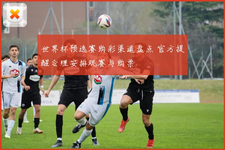 世界杯预选赛购彩渠道盘点 官方提醒合理安排观赛与购票