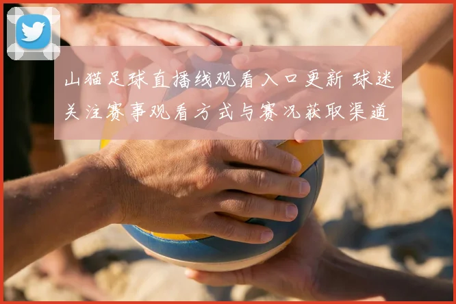 山猫足球直播线观看入口更新 球迷关注赛事观看方式与赛况获取渠道