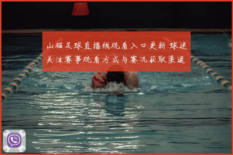 山猫足球直播线观看入口更新 球迷关注赛事观看方式与赛况获取渠道